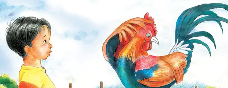 Boy in yellow shirt looking at colorful rooster with red comb and teal tail feathers.