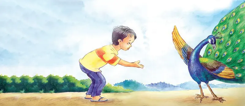 Boy in yellow shirt reaching toward peacock with spread green tail feathers outdoors.