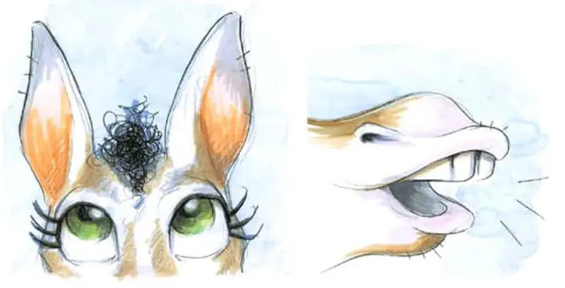 Close-up of striped creature's large ears and green eyes next to its long snout.