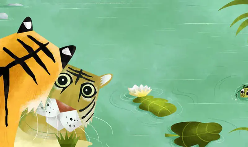 Tiger swimming in green pond looking at frog near lily pads and lotus flower.