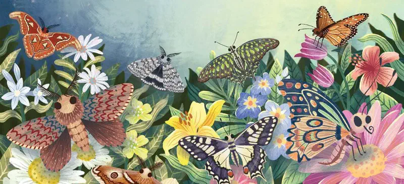 Many colorful butterflies and moths flying among flowers in garden with daisies and lilies.