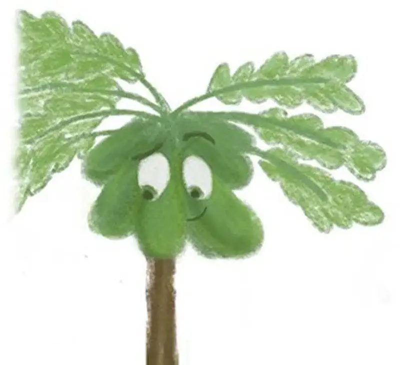 Friendly green fern plant with a happy smiling face and leafy fronds spreading outward on a brown stem.