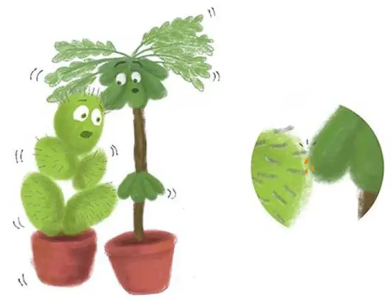 Surprised cactus stands next to a tall fern in pots, with a close-up circle showing the cactus crying with hurt feelings.