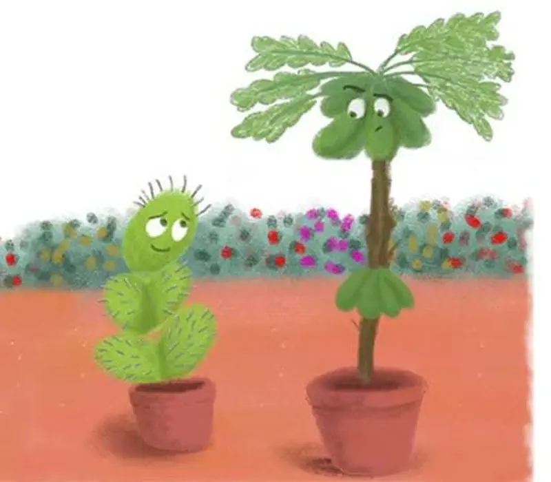 Content cactus and shy fern stand together in their terracotta pots in front of a colorful flower garden.