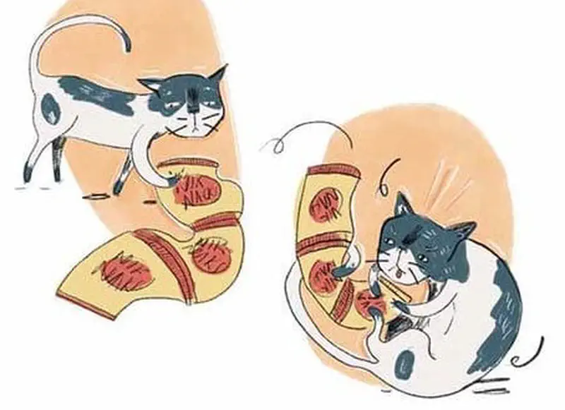 Mischievous cat knocks over a bag of snacks and happily munches on the spilled treats.