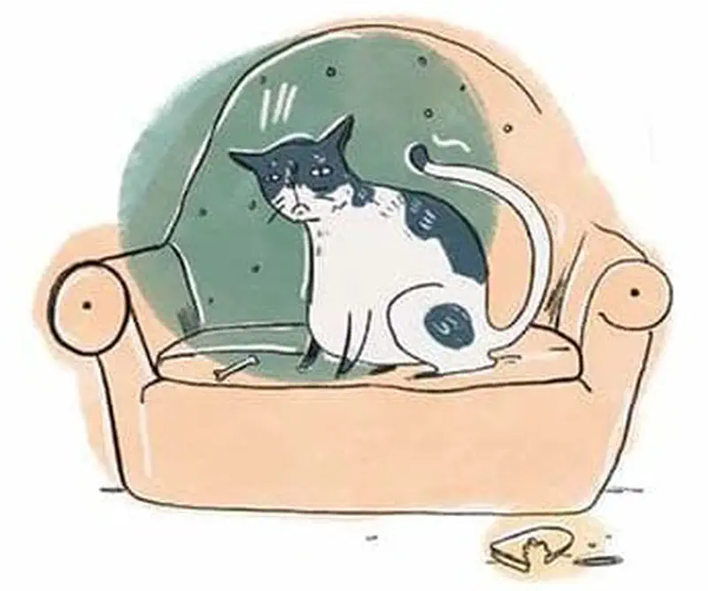 Guilty-looking cat sits alone on a beige armchair with a torn snack bag on the floor nearby.