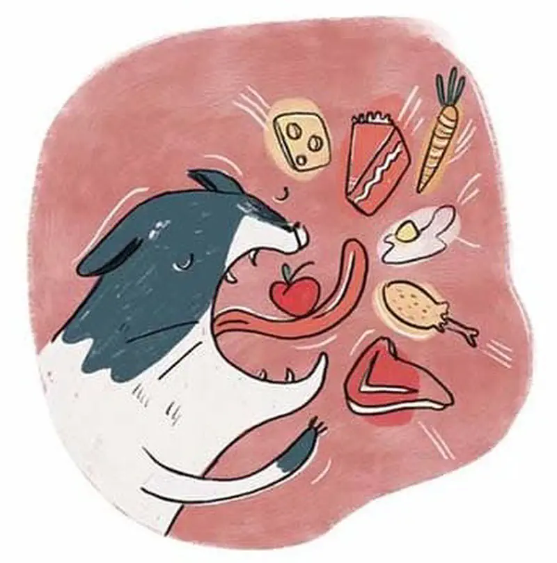 Hungry cat imagines eating various foods including cheese, pie, carrots, fried egg, chicken leg, steak, and apple.