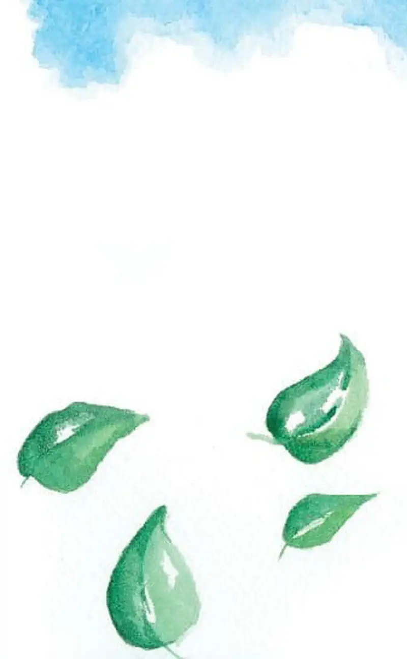 Four green leaves gently falling through the air against a white background with a hint of blue sky.