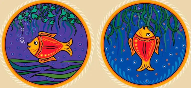 Two circular frames showing an orange and red fish - one swimming horizontally in purple water, the other viewed from above in blue water with seaweed.