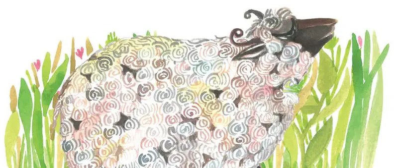 Close-up of a large multicolored woolly sheep with curly fleece standing in tall green grass with small pink flowers.