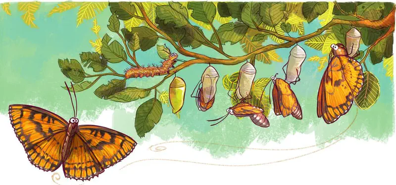 The butterfly life cycle showing a caterpillar on a branch, chrysalises hanging, butterflies emerging, and an orange butterfly flying free.
