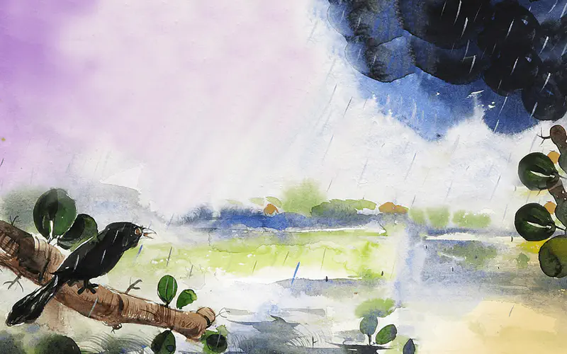 A black cuckoo perches on a branch watching rain fall over green fields, with dark storm clouds and purple sky in a watercolor landscape.