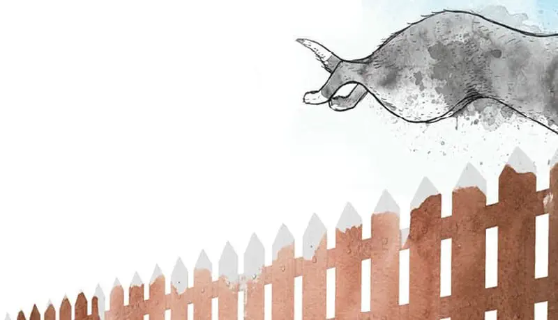 A gray dog leaps over a brown wooden picket fence, escaping from the yard into the open sky.