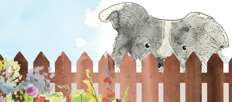 A gray and white dog peers over a brown wooden fence at colorful flowers growing in a garden.