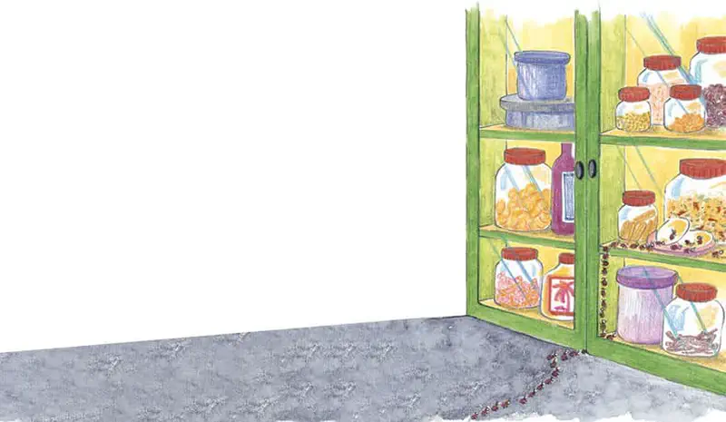 A trail of ants marches across gray floor toward an open green pantry cupboard filled with jars of food and snacks.
