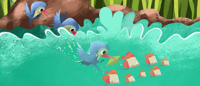 Two kingfishers diving into pond to catch school of orange fish