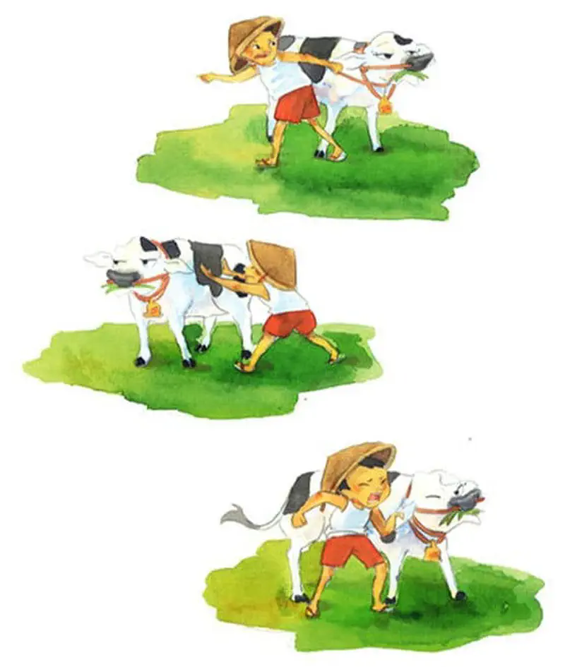 Three sequential images showing a child in a straw hat struggling to push and guide a stubborn black and white cow across grassy fields.