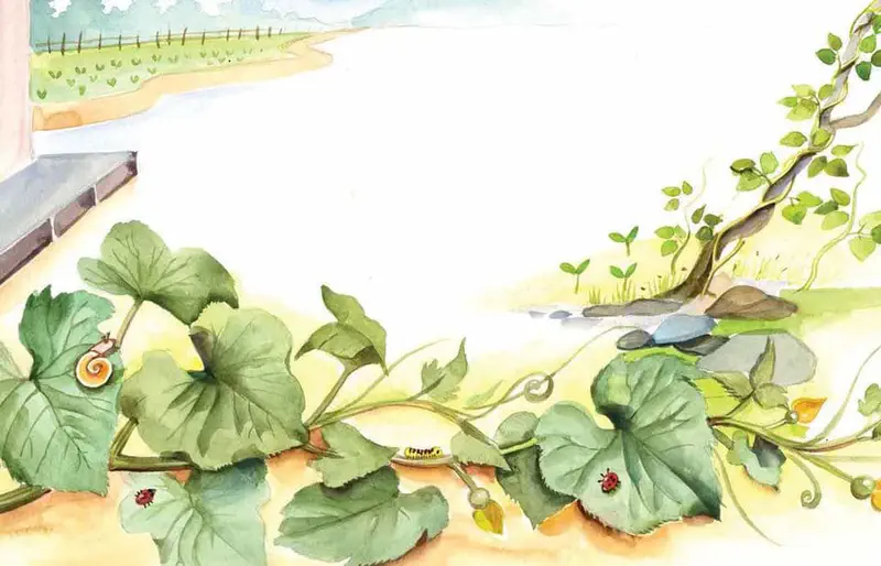 Green vine leaves spread across the ground with a snail, caterpillar, and ladybugs crawling on them near a farm field.