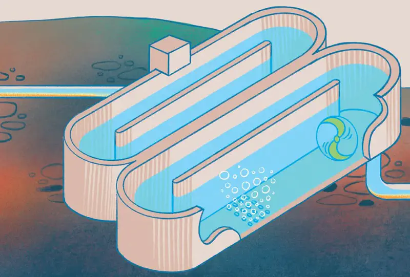 Cross-section diagram of a kidney-shaped water filtration system with blue water flowing through channels and bubbles.