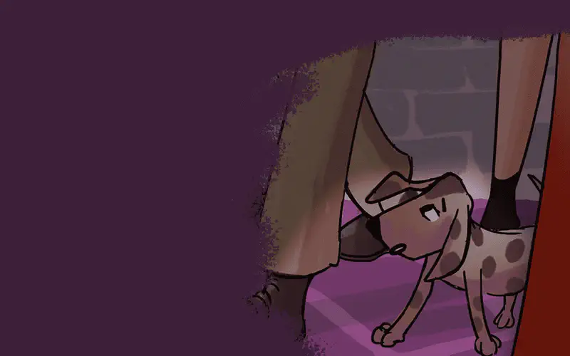 A spotted dog peers out from underneath furniture in a dark room, looking curious with droopy ears.