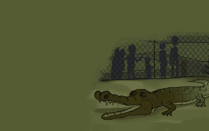 A crocodile lies in its enclosure while silhouettes of people watch from behind a chain-link fence in the background.