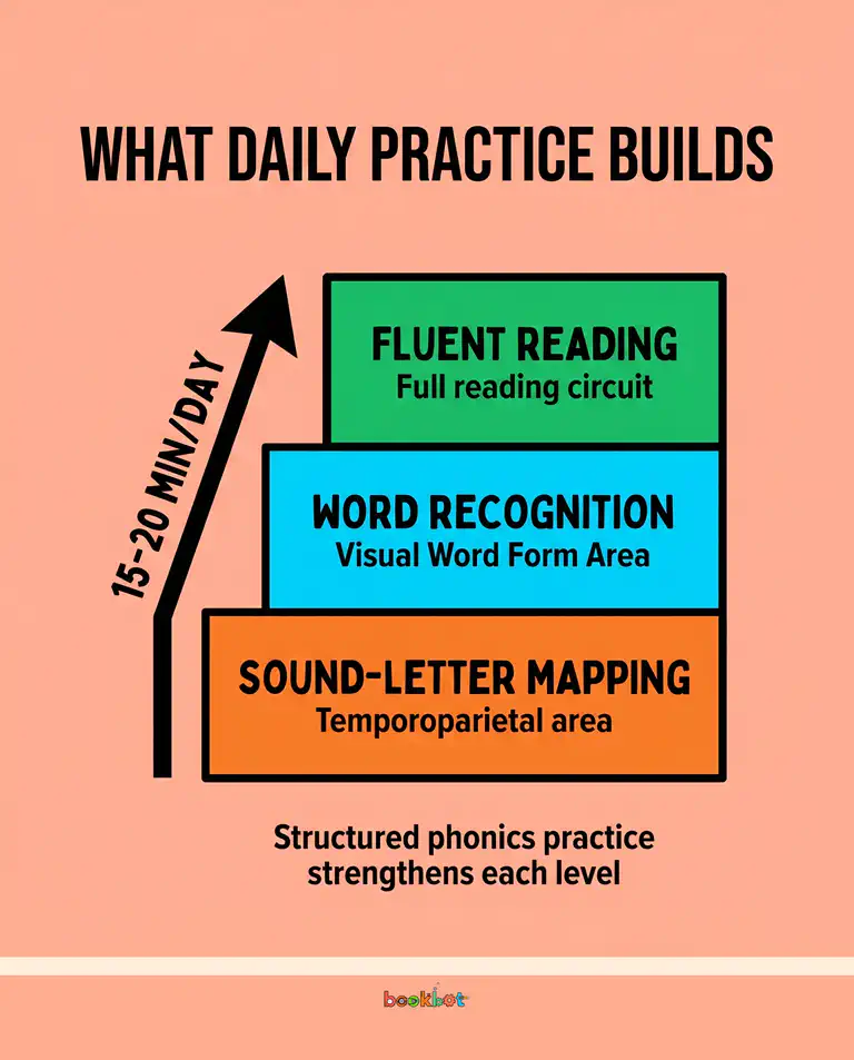 What daily reading practice builds in the brain