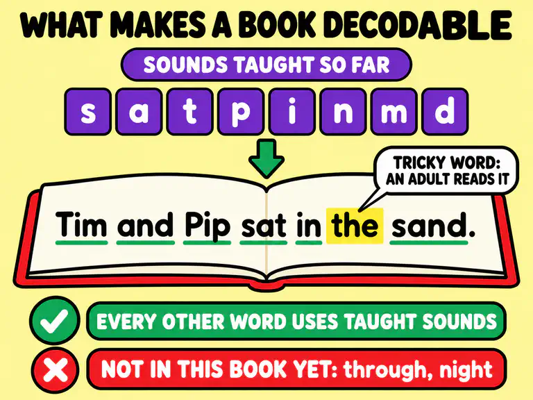 Diagram showing the sounds taught so far, s a t p i n m d, a book page reading Tim and Pip sat in the sand with the tricky word the marked for an adult to read, and through and night as words not in the book yet